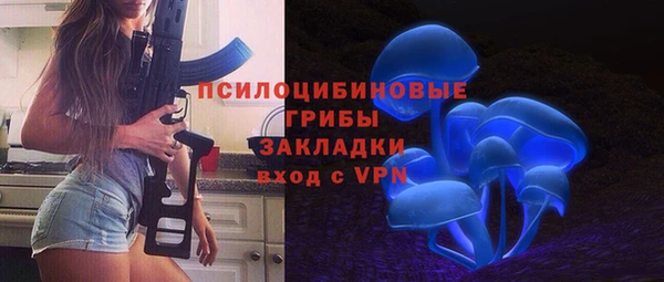 mdpv Богданович
