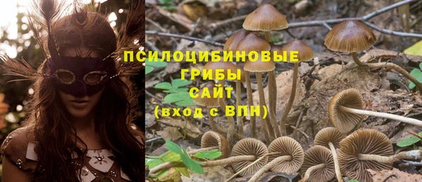 дистиллят марихуана Богородск